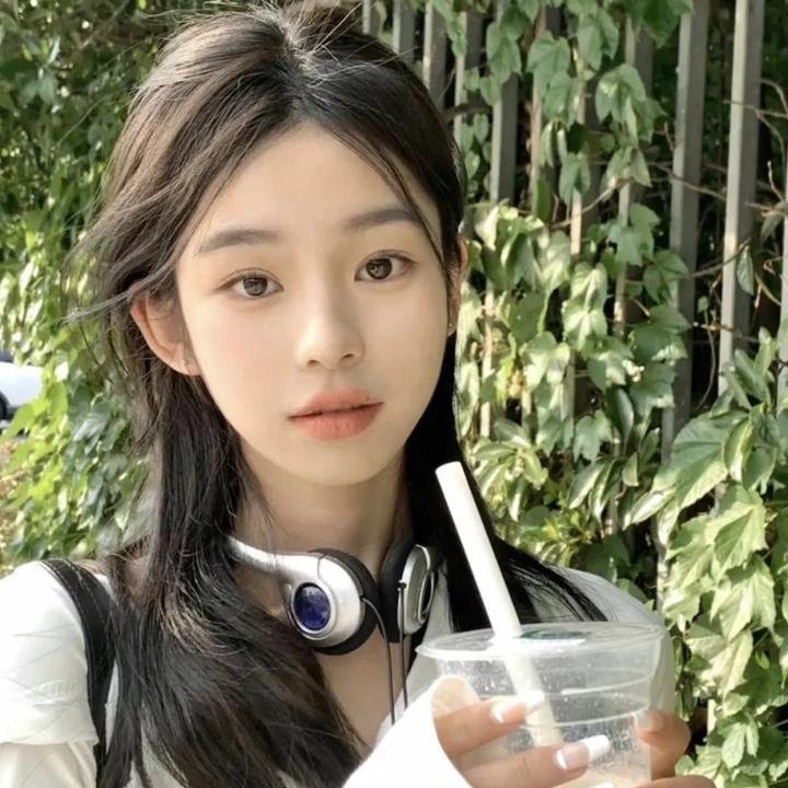 菊石
