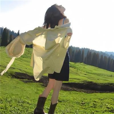 忘掉莎拉·马歇尔